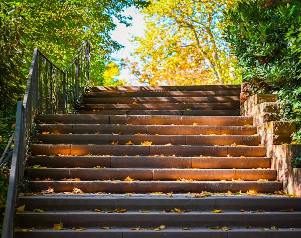 Steps